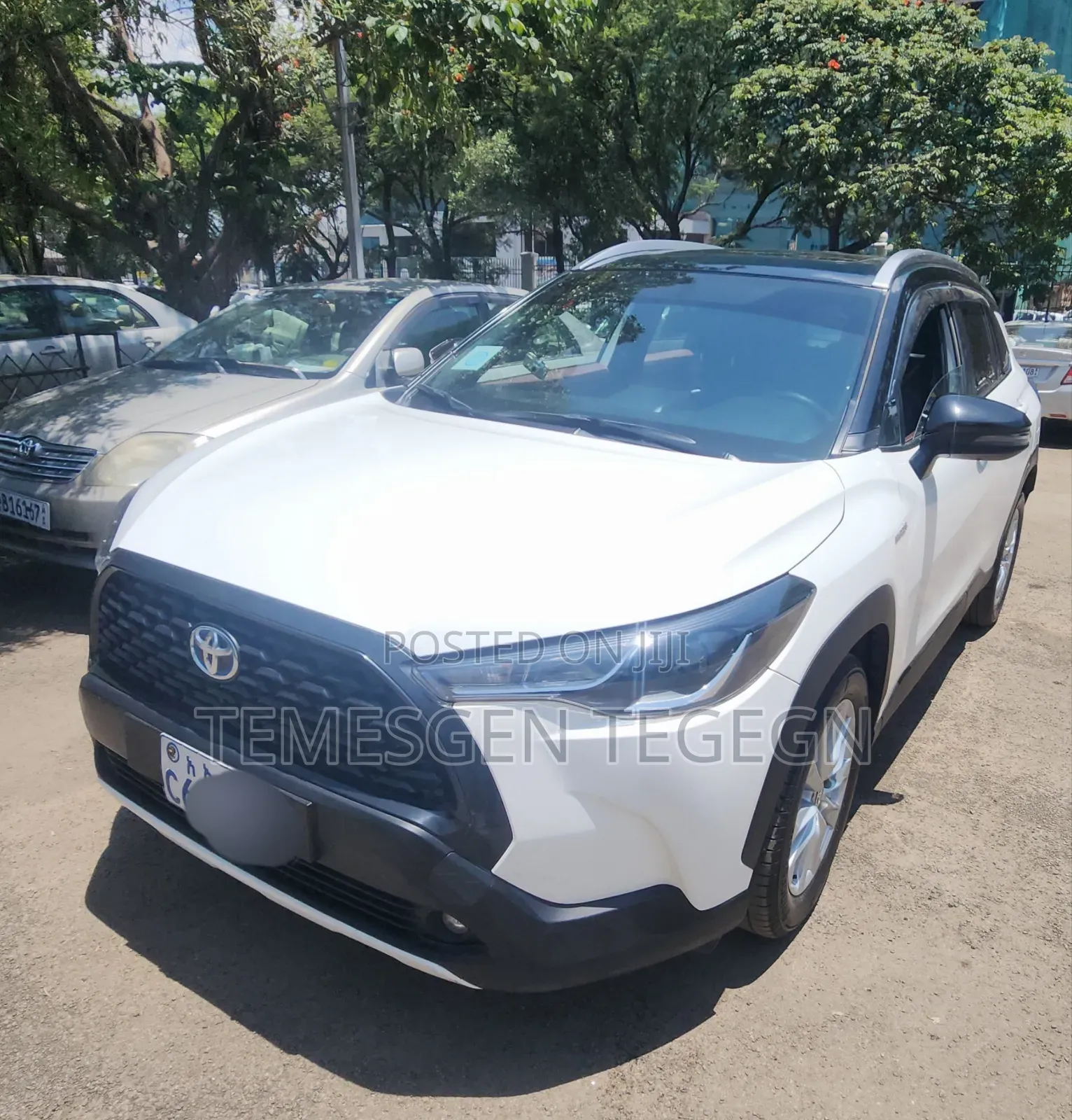 Toyota Corolla Hybrid 2024 White