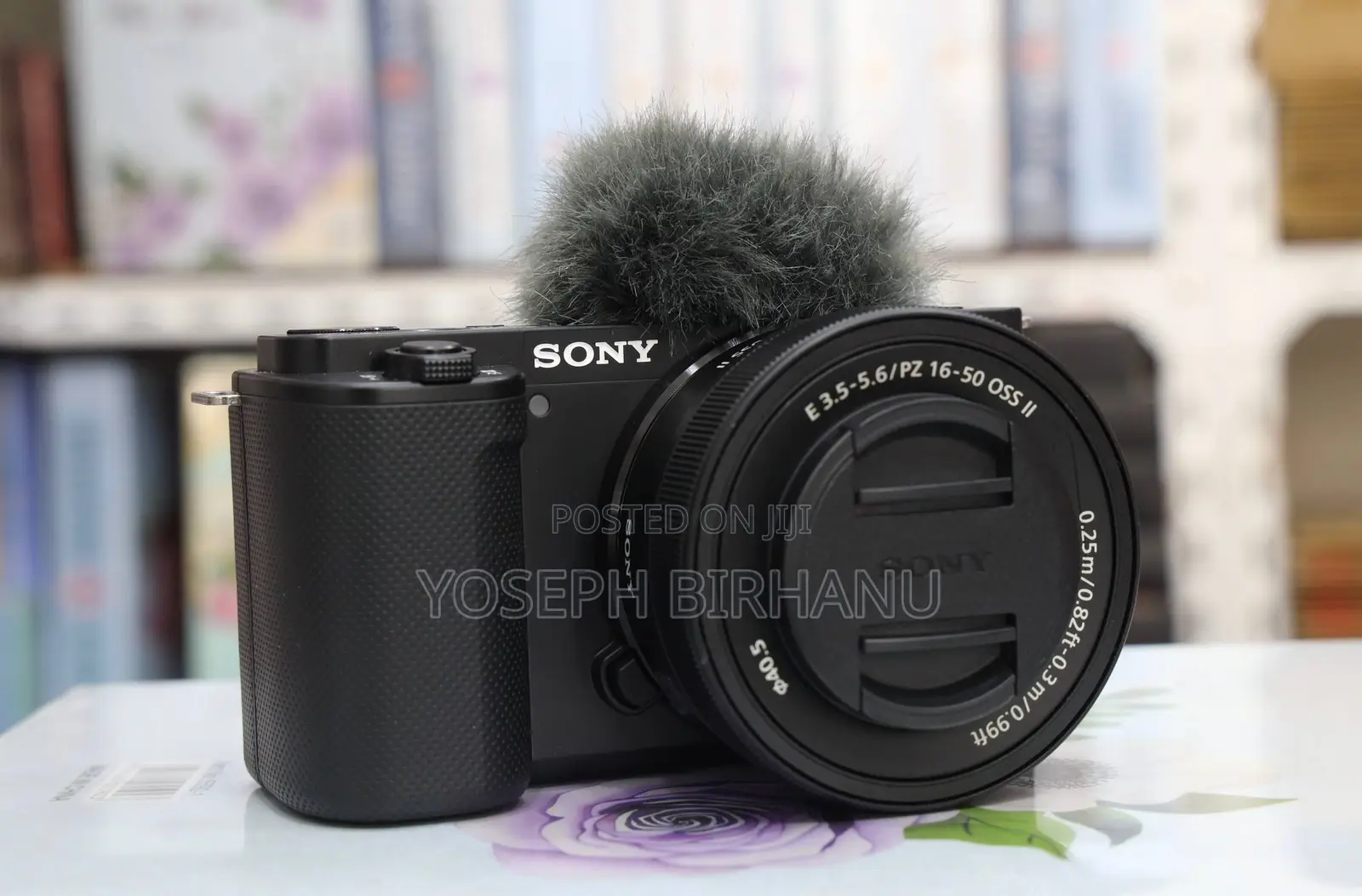 Sony ZVE10 Canera
