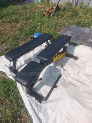 Bench Adjustable With Flat for Gym