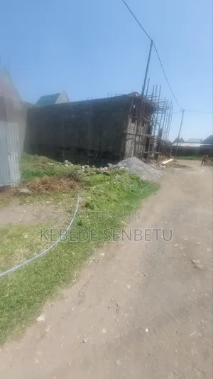 Land & Plot for Sale