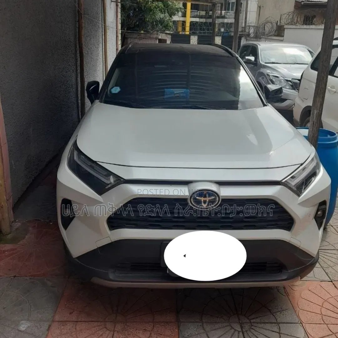 Toyota RAV4 2024 White