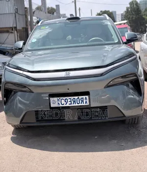 BYD Tang DM-i 2025 Gray