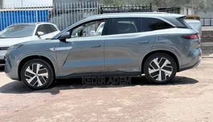 BYD Tang DM-i 2025 Gray