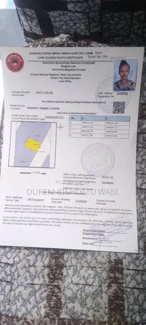 Bishoftu Dukem