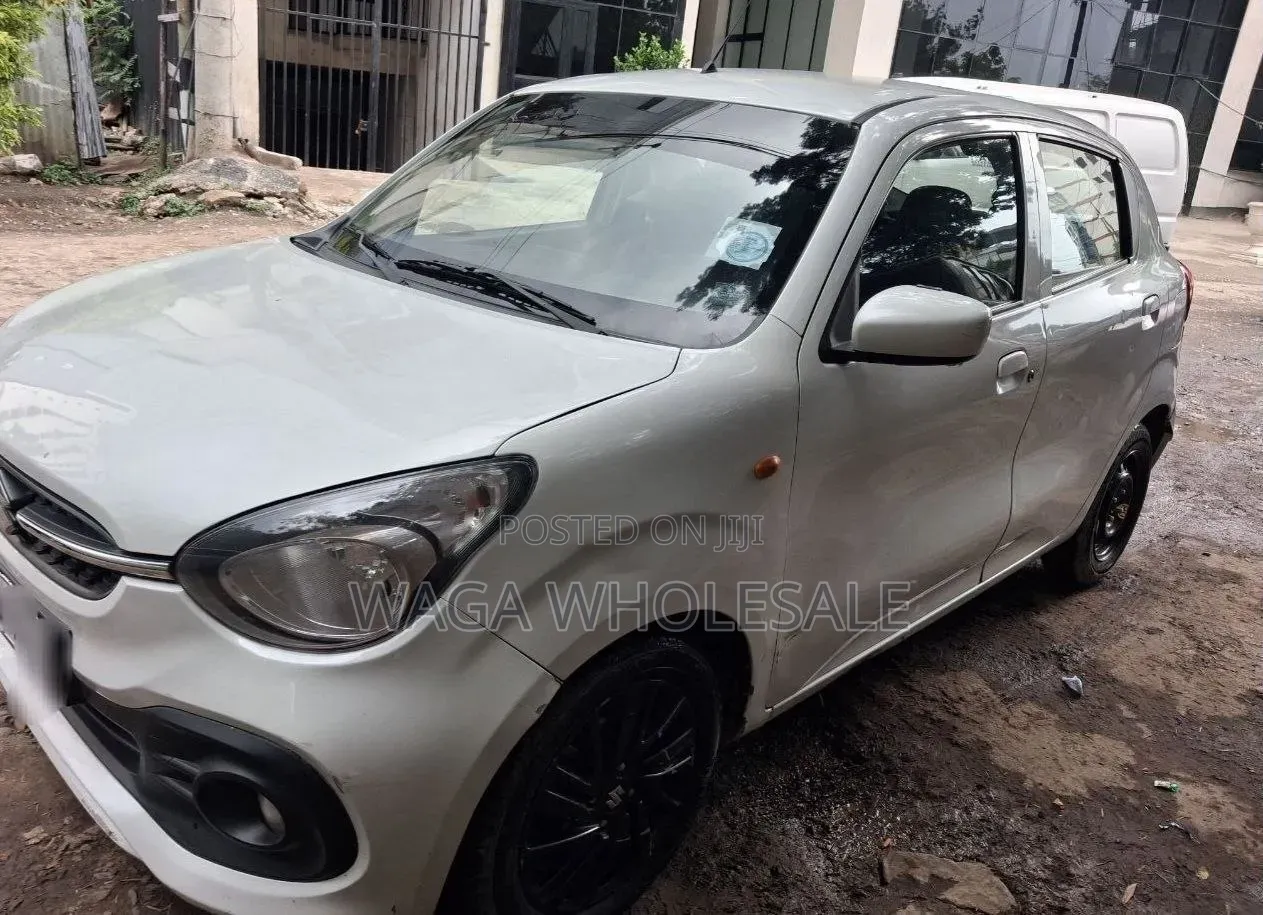 Suzuki Celerio 2022 Silver