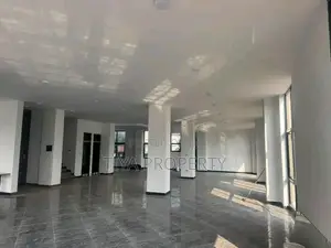 Furnished 5bdrm Apartment in Bole for rent