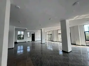 Furnished 5bdrm Apartment in Bole for rent