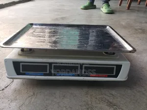 Quality F1976 Digital Computing Scale /Free Delivery