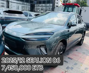 New BYD Sealion 06 EV 2026 Gray