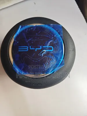 Ev Air Bag