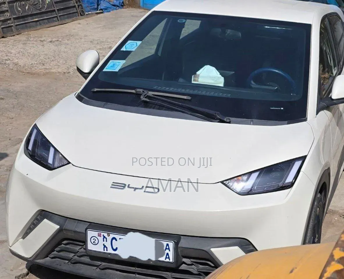 BYD Seagull 2025 White