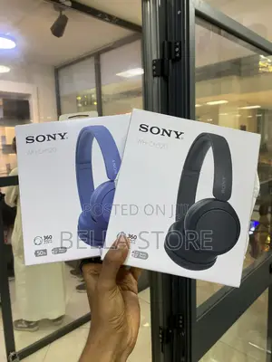 Sony Wh-Ch520