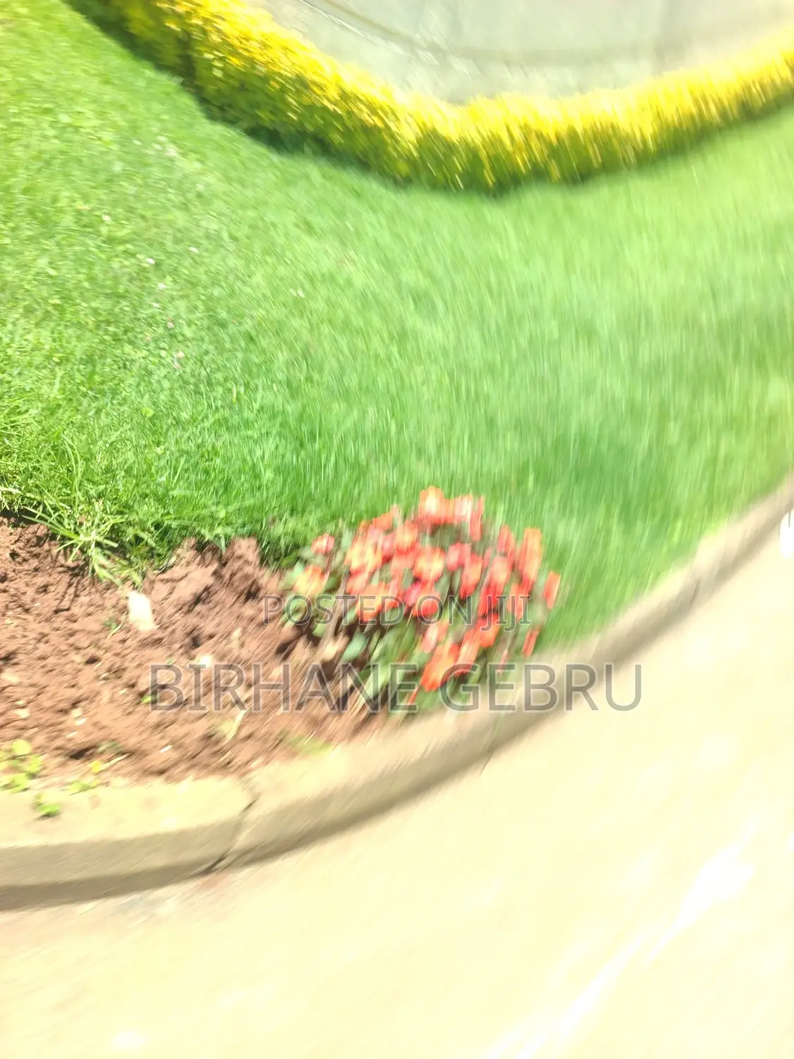 5bdrm Villa in Villa, Bole for rent