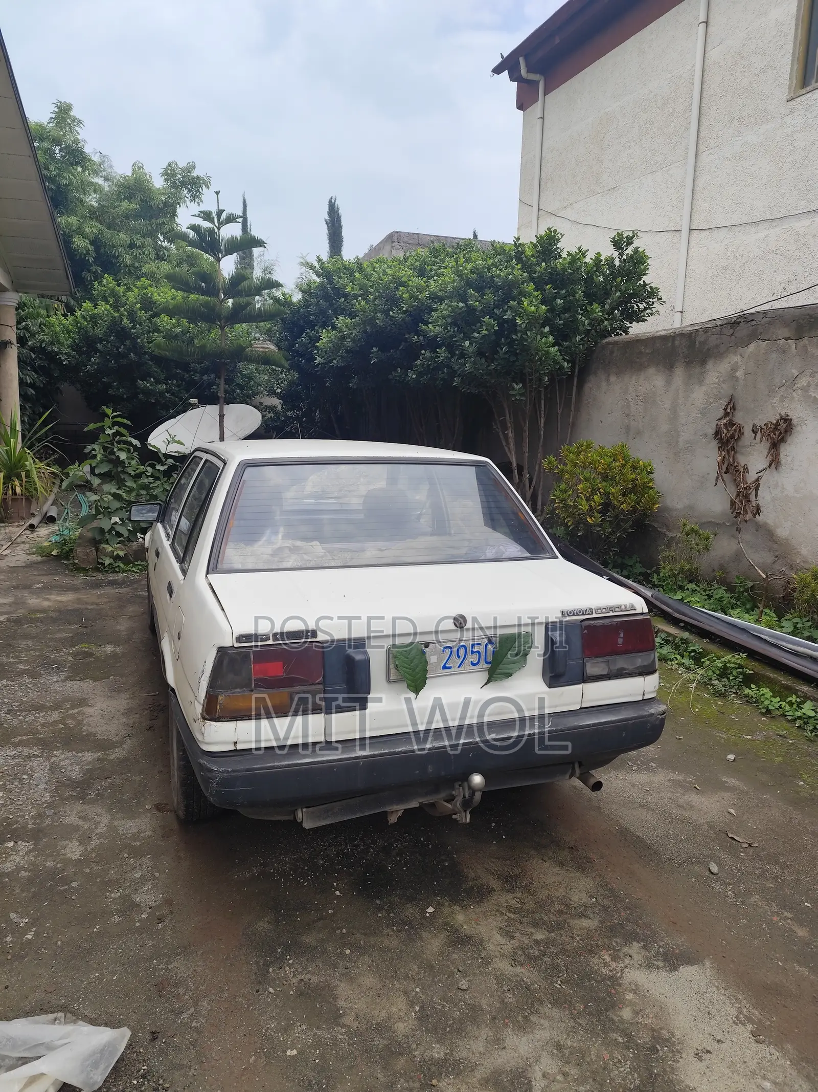 Toyota Corolla 1986 White