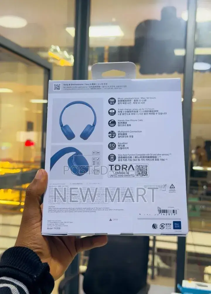 Sony WH-CH520 Headset