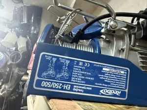Redbo EH-250/500 Electric Wire Rope Hoist, Which Is a Motorized Liftin