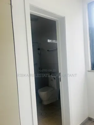 Furnished 3bdrm Apartment in Golagol, Bole for sale