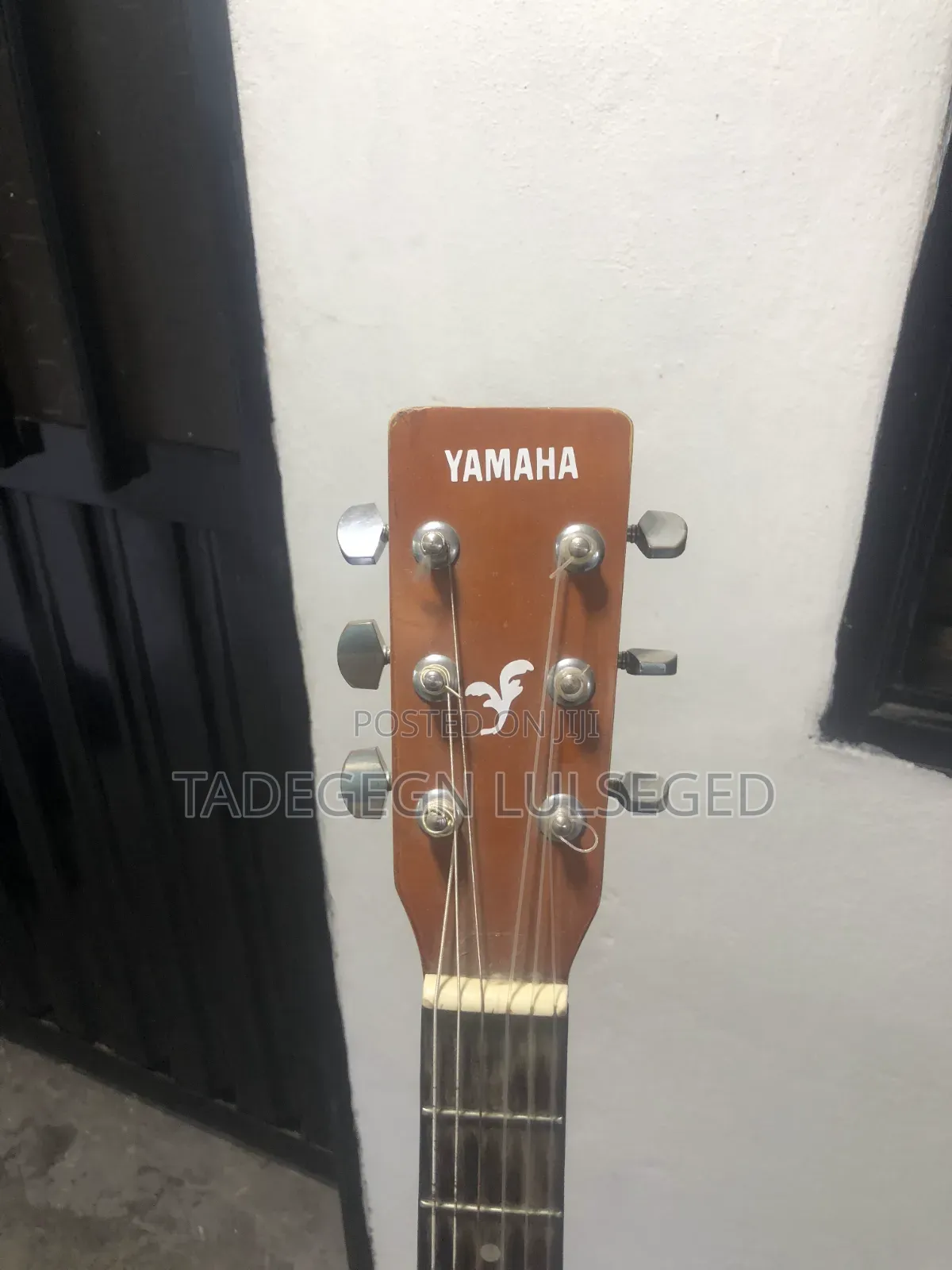 Acoustic Guitar