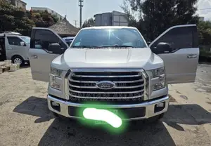 Ford F-150 2016 Silver