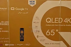 Bravia Qled 65 Inch Television