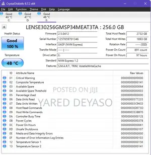 Union Memory 256GB Nvme SSD