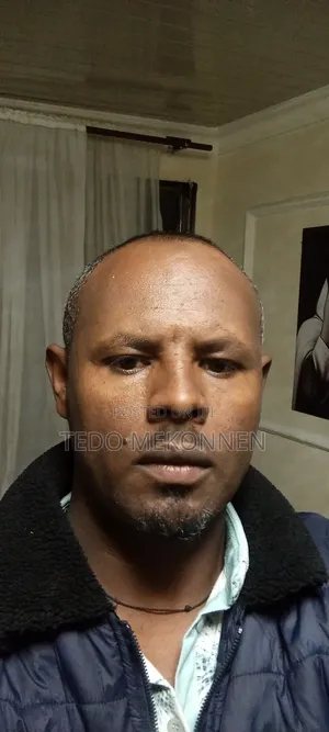 Tewodros Mekonnen Cv Driver