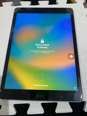 Apple iPad Pro 256 GB Gray