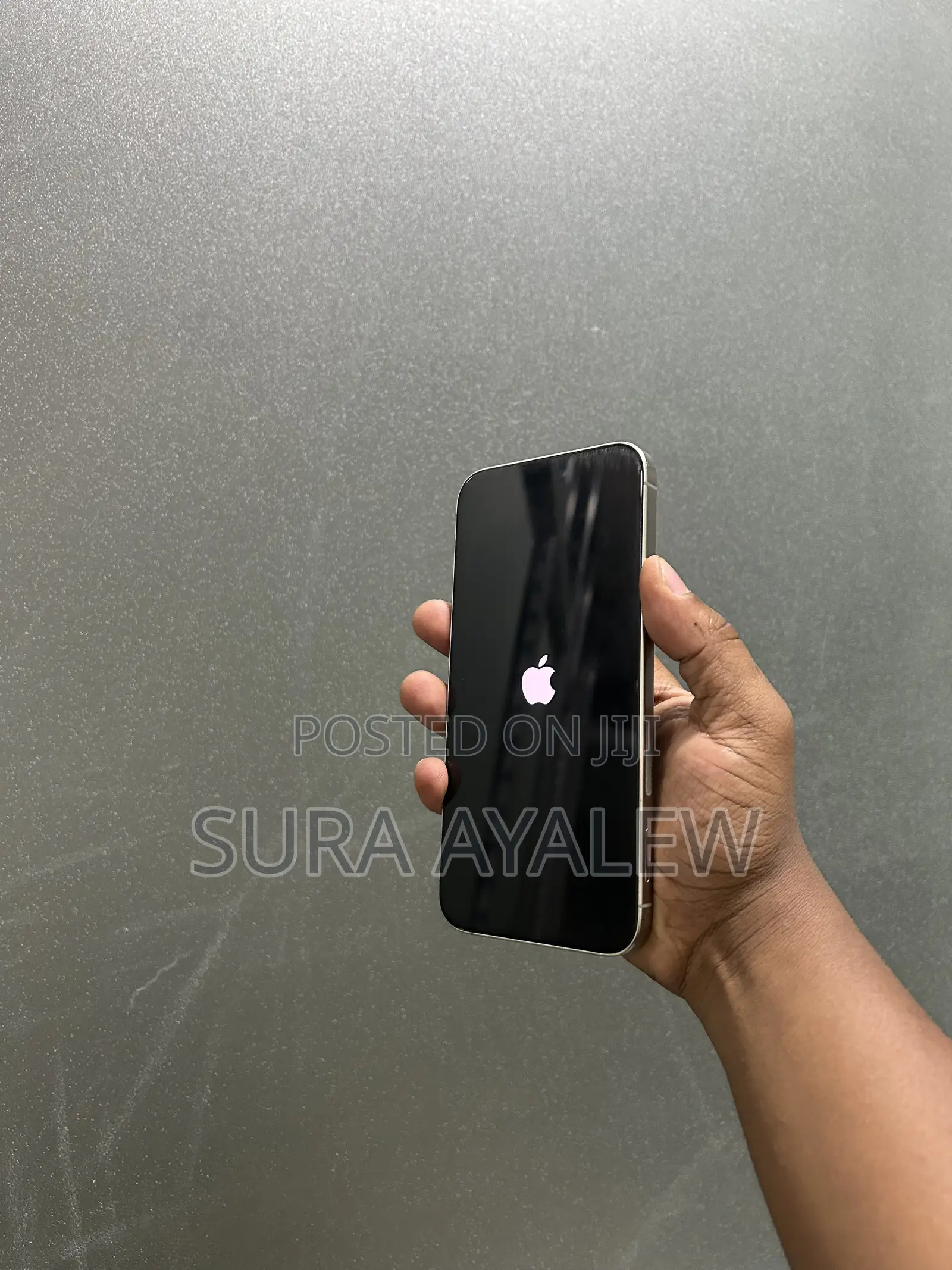 Apple iPhone 15 Pro Max 256 GB Silver