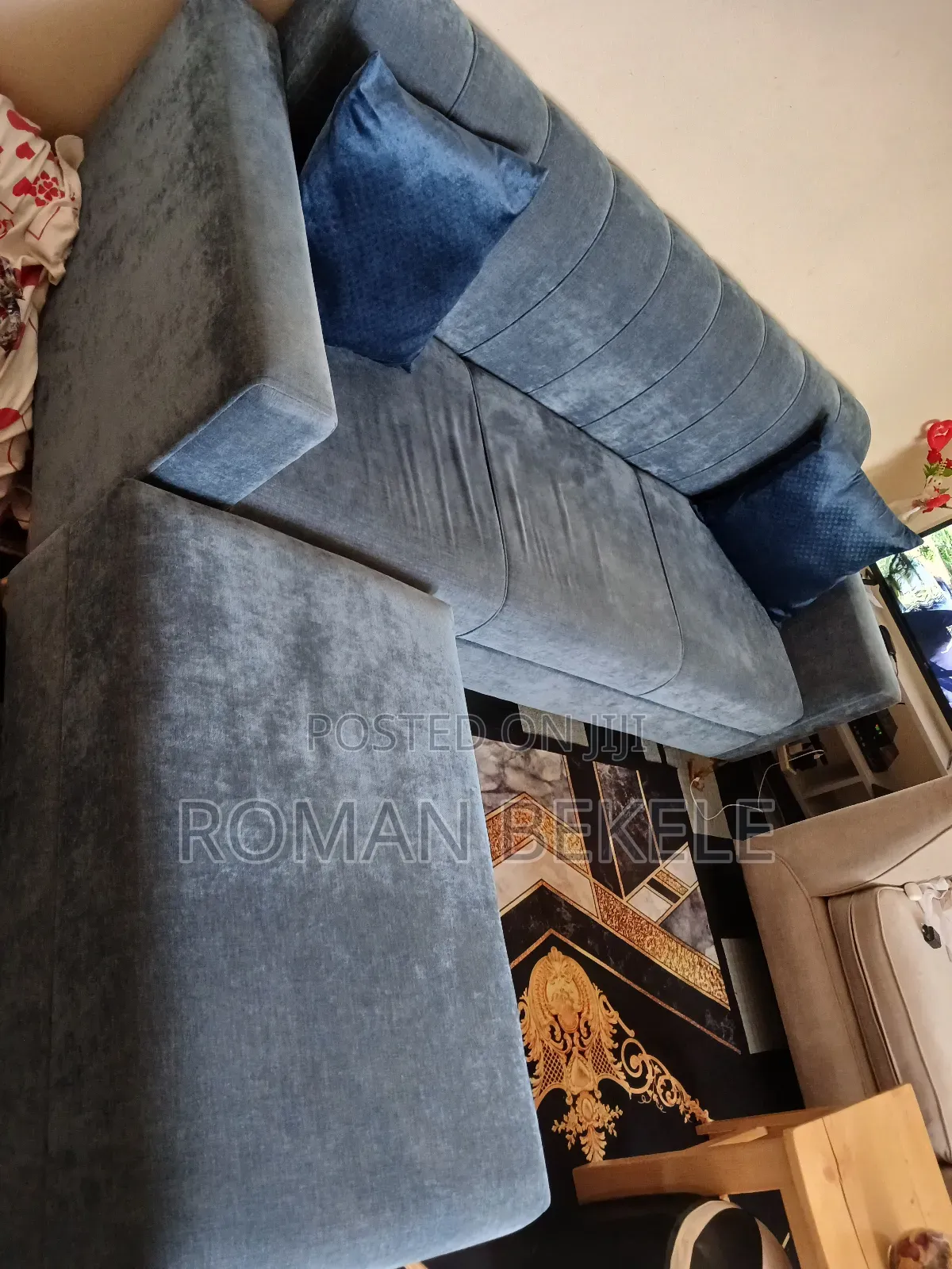 Sofa (Furniture)