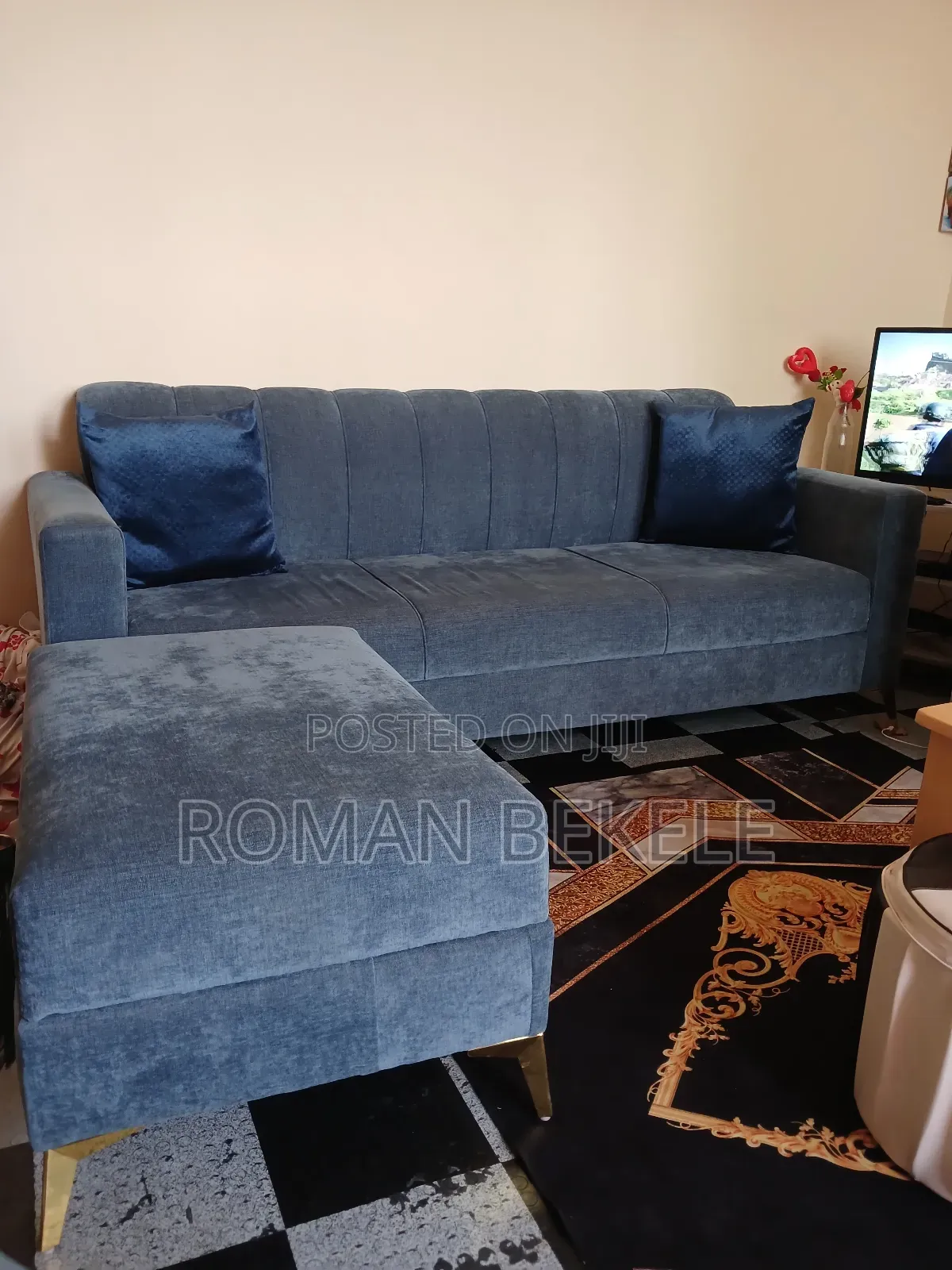 Sofa (Furniture)