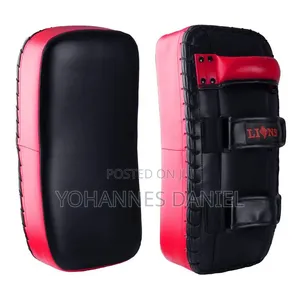 Muay Thai Traing  Pad