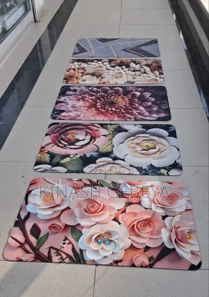 Large Size Non Slip Water Absorbant Mat