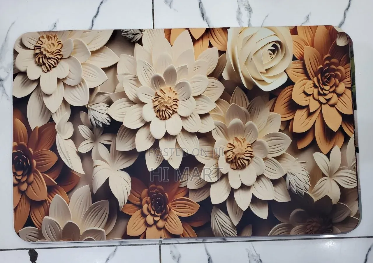 Super Absorbant Home Door Mats