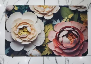 Super Absorbant Home Door Mats