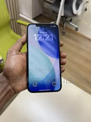 Apple iPhone 12 Pro Max 256 GB Blue