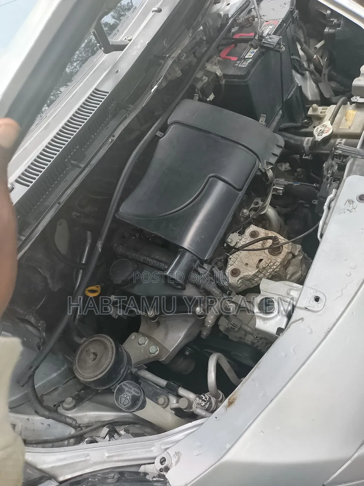 Toyota Yaris 2006 Ivory