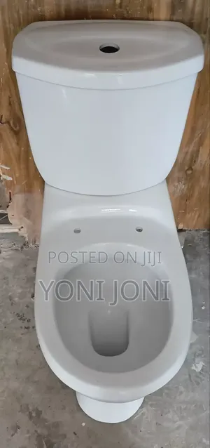 Toilet Sink