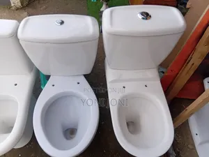 Toilet Sink