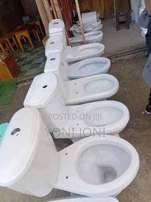 Toilet Sink