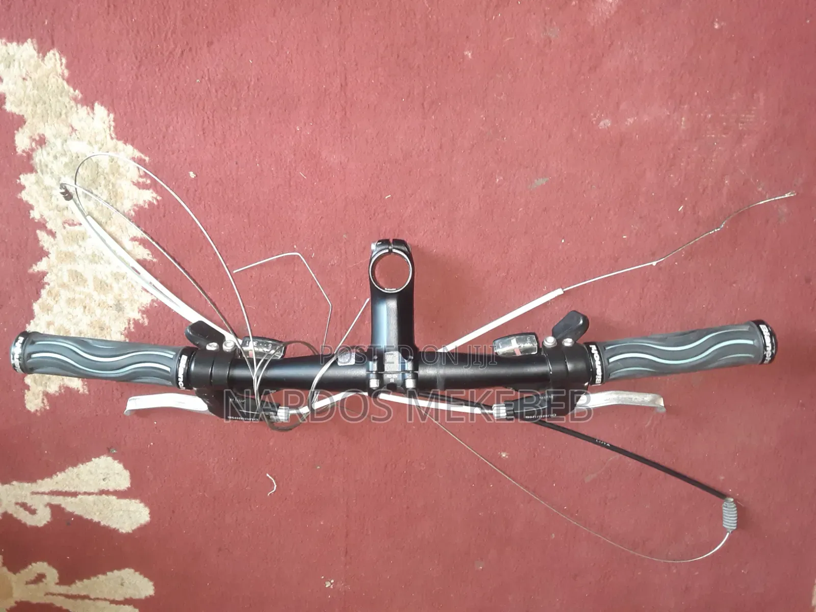 Bianchi Meri Kene Tfi Marshu