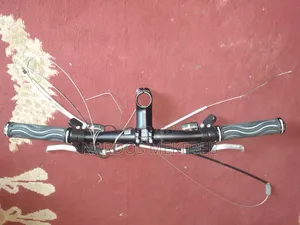 Bianchi Meri Kene Tfi Marshu