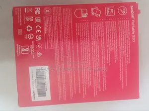 SanDisk SSD