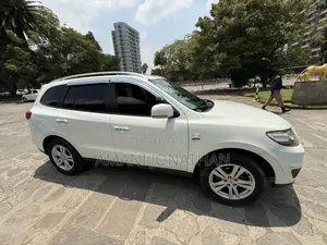 Hyundai Santa Fe 2010 White