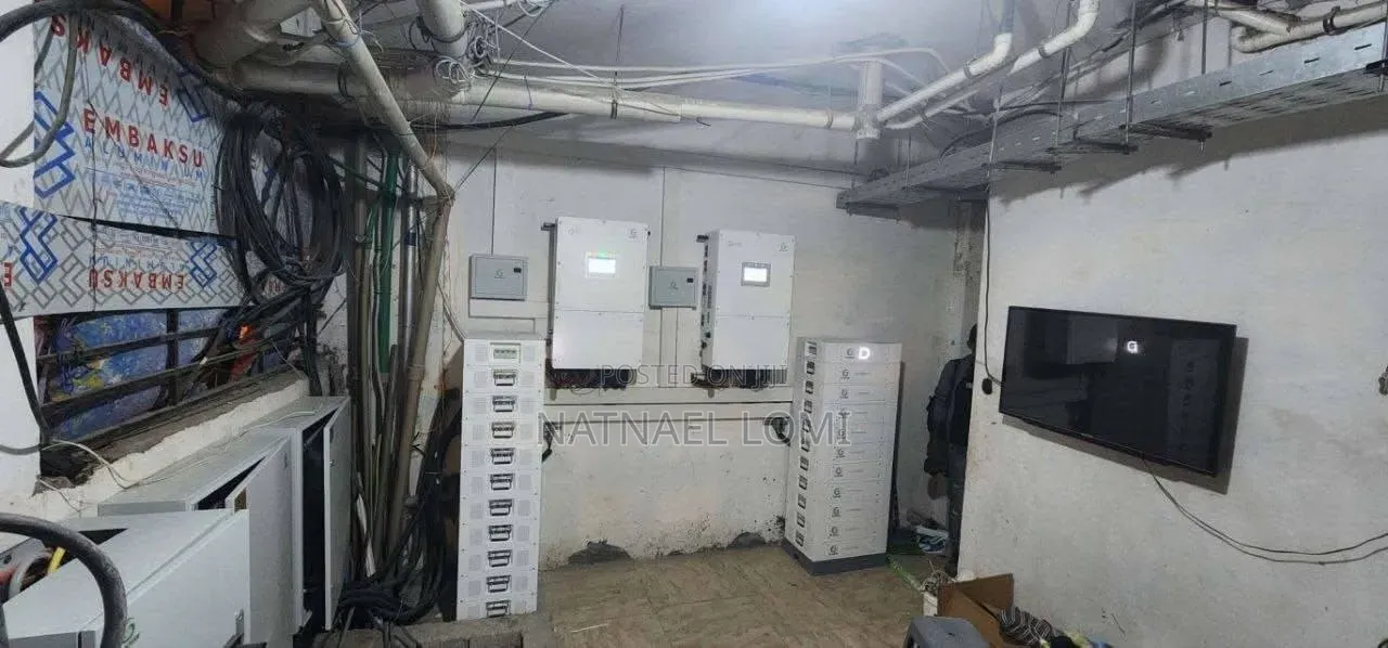 Lithium Ion Phosphate Battery