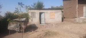 አሪፍ የሆነ ቦታ