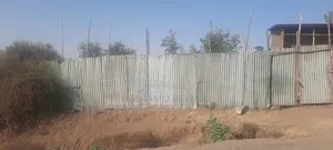 አሪፍ የሆነ ቦታ