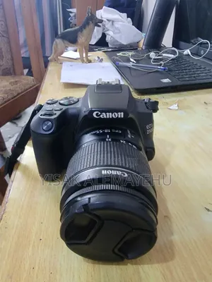 Canon 250D