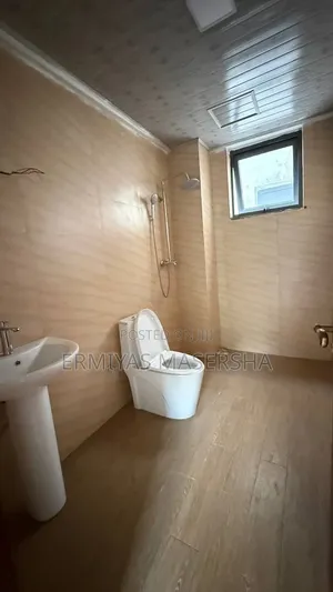 Furnished 3bdrm Apartment in Yeka for sale