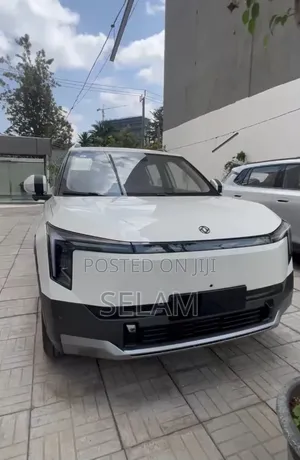 New Dongfeng Nammi 01 2025 White