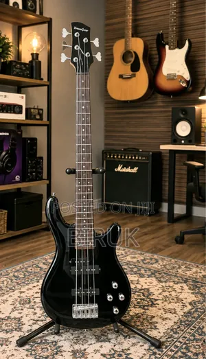 New Guitar